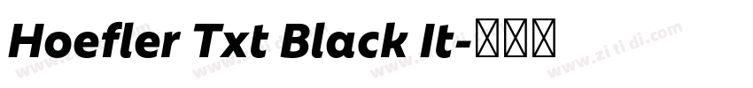Hoefler Txt Black It字体转换
